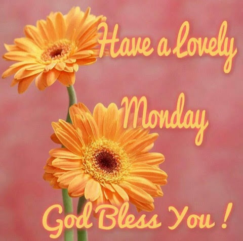 Monday-Orange-Daisy-God-Bless