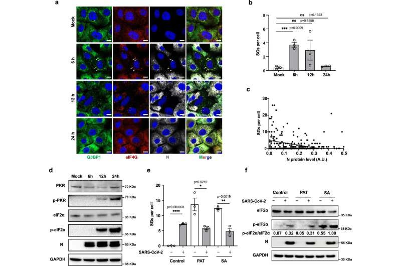 How SARS-CoV-2 exploits human proteins to replicate