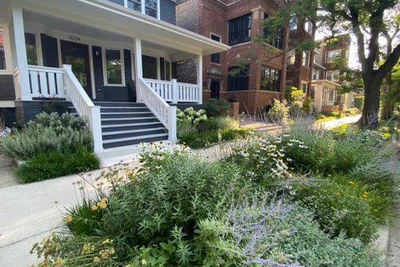 Perennial parkway planting in Chicago