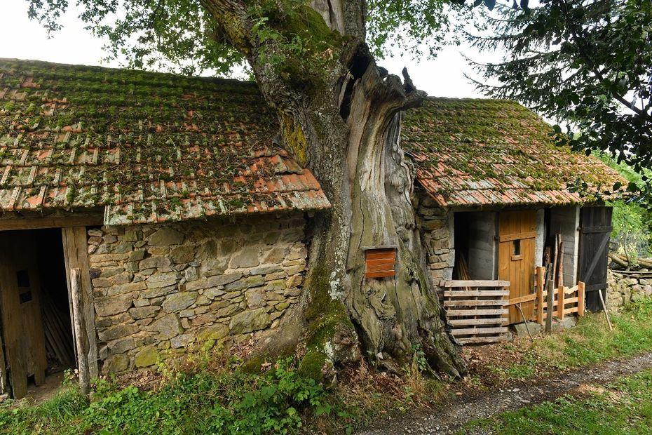 PHOTOS. Patrimoine : connaissez-vous ces curiosités d’Auvergne ?