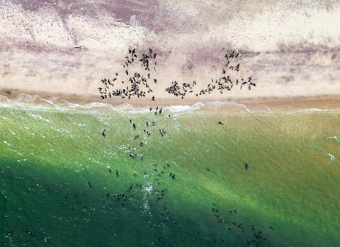 https://www.africanparks.org/coastal-drive-experience-through-iona-national-park