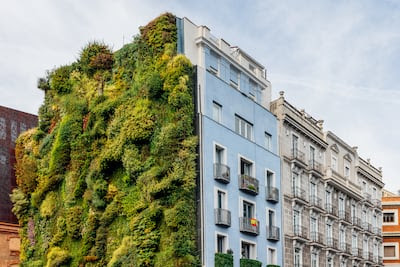 Green roofs and walls can cut flooding, cool buildings and improve air quality. Getty Images