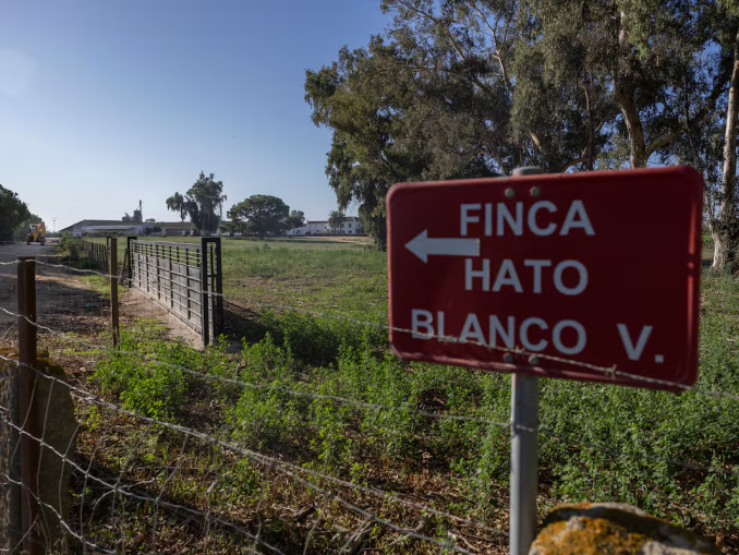 La Justicia vuelve a defraudar en el caso de la finca Hato Blanco Viejo en Doñana