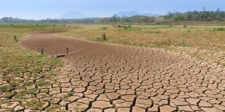 Drought Path Earth