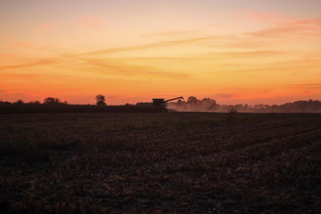 sunset shot of a combine in a corn field during harvest