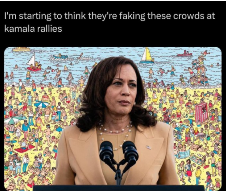 Photo of Kamala Harris in front of fake crowd.