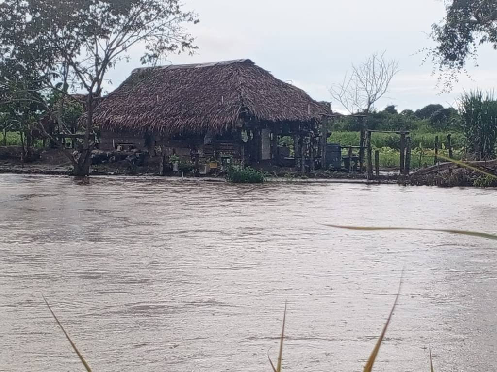 Crecida de río en Barinas deja cuatro sectores y 20 viviendas anegadas