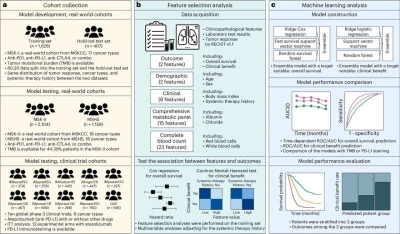 New AI tool uses routine blood tests to predict immunotherapy response for many cancers