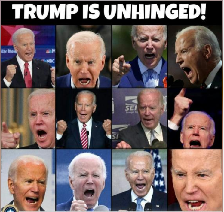 Meme showing Biden shouting about everything.