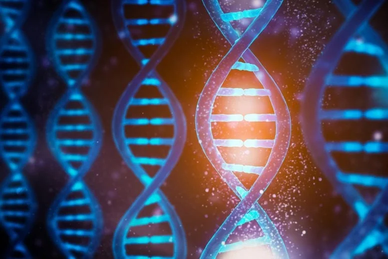 DNA Functions Concept