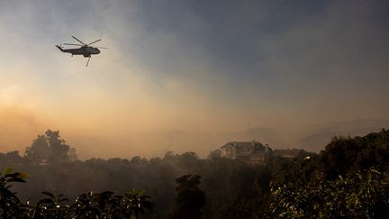 Près de Los Angeles, plus d'une centaine de maisons détruites par un vaste incendie