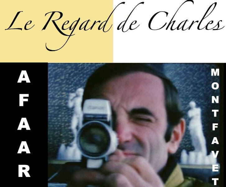 Le regard de Charles