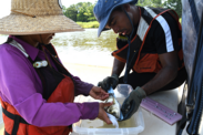 Two team members check the length of a fish before inserting a telemetry tag.