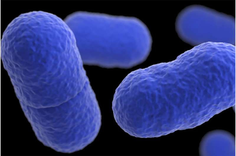 Listeria outbreak tied to Yu Shang Food leaves California infant dead and 10 people sick