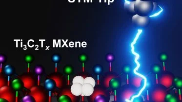 Scanning Tunneling Microscopy Mapping MXene Surfaces