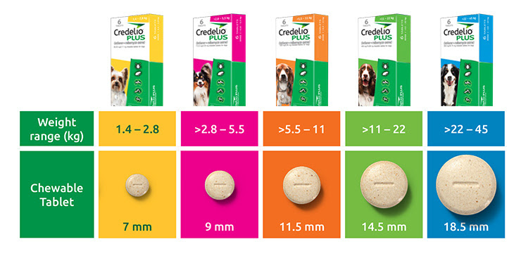 CPC-Credelio-Plus-dosage-for-your-dog