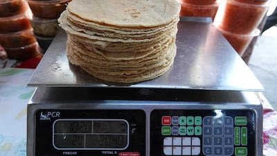 ¿Taquitos sin tortillas? Precio del maíz se disparará en 2025