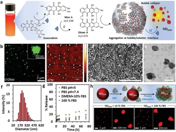 Engineering DOX into a stable nanodrug. a) Schematic of the ultrasound-assisted engineering of DOX into NDDOX. A solution of DOX in water (0.5 mg mL−1) was sonicated at high frequency (490 kHz) and 2 W cm−2 for 3 h to readily form NDDOX. DOX is converted into hydroxylated species (MonA and DimA) (i) at the transient cavitation bubble/solution interface (ii) and subsequently the products self-assemble upon bubble collapse to form uniform DDOX nanoparticles (iii). b) Representative STORM image of NDDOX labeled with the photoswitchable dye AF 647; the inset shows a magnified view of a single NDDOX nanoparticle. The results are from three independent experiments. c) AFM (height 0–10 nm), d) SEM, and e) TEM images of NDDOX nanoparticles, respectively. f) The size distribution of NDDOX in aqueous solution, determined using DLS. g) Dissolution kinetics of NDDOX at pH 5 and pH 7.4 in 100 × 10−3 m PBS, 100% FBS, and cell culture medium Dulbecco’s modified Eagle medium containing 10% FBS. The % release was determined by measuring fluorescence emission (λ520 nm) of the collected supernatant after centrifugation of NDDOX. h) Scheme showing the adsorption of protein on the surface of NDDOX after incubation with FBS and STORM images of the NDDOX acquire after 8 h incubation with 10% and 100% FBS. Results are from three independent experiments