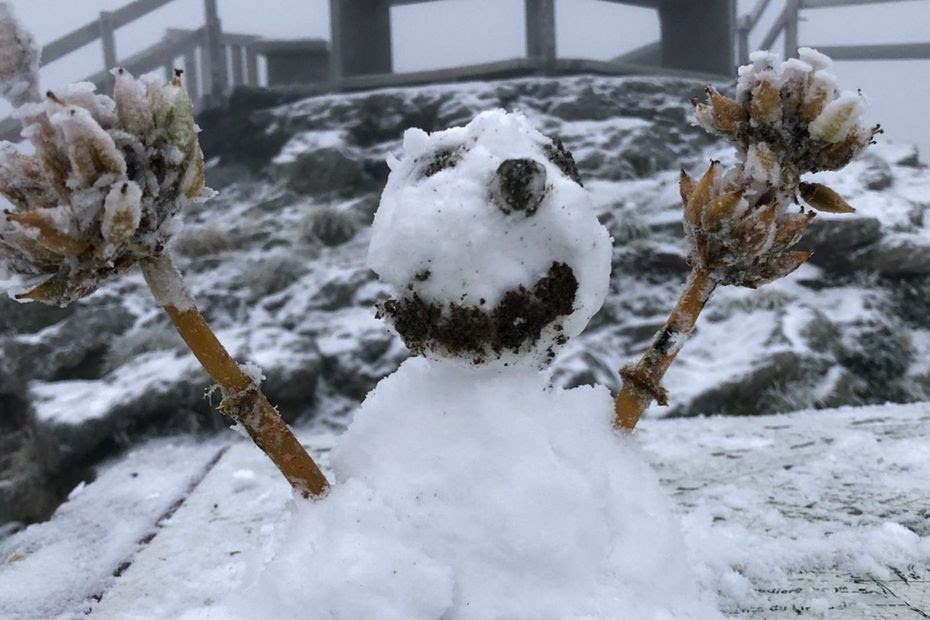 PHOTOS. 'Ca met de bonne humeur pour la journée !' : les images poétiques des premières neiges d'Auvergne