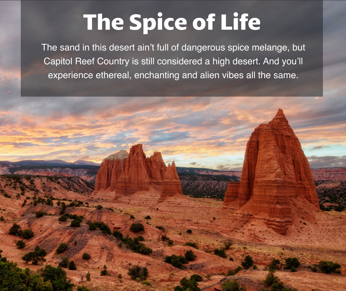 The Spice of Life | The sand in this desert ain’t full of dangerous spice melange, but Capitol Reef Country is still considered a high desert. And you’ll experience ethereal, enchanting and alien vibes all the same.