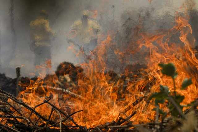 Servidores do Ibama e ICMBio em combate a incêndio florestal