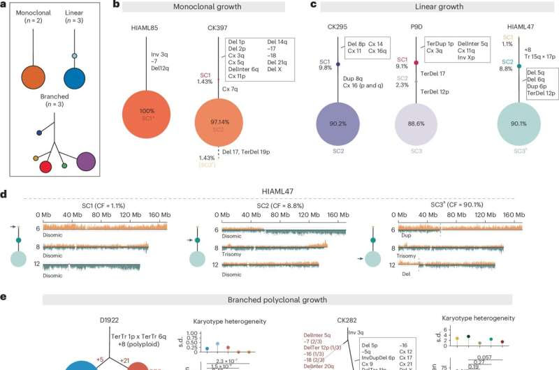 Chromosomal chaos promotes therapy resistance in leukemia cells and opens up new treatment approaches