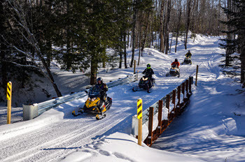 group of snowmobilers