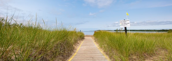 A wooden slat pathway ambles through tall dunegrass into the bright blue horizon. 