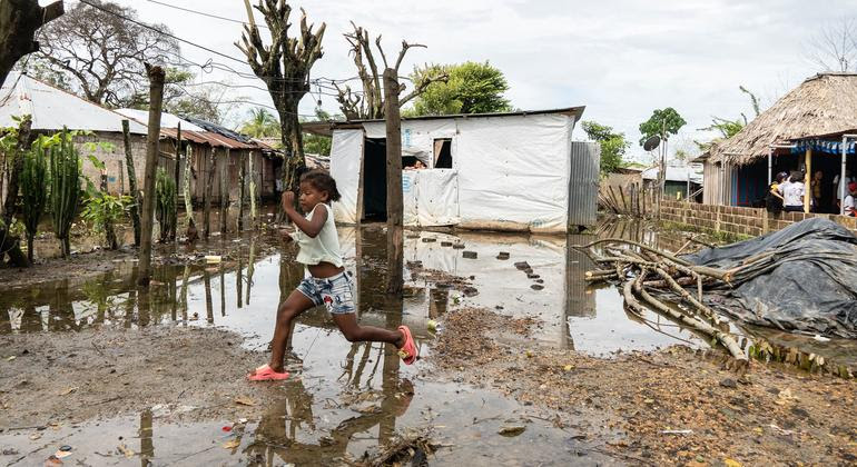 [UN News photo]