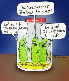 This may contain: three pickles in a jar with speech bubbles