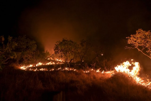 Fogo consome floresta na região de Amajari, Roraima, em fevereiro de 2024