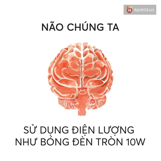 9 sự thật thú vị về cuộc sống mà bạn nên biết - Ảnh 6.