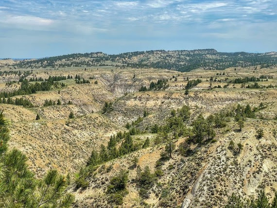 Photo of Stafford Ferry conservation easement