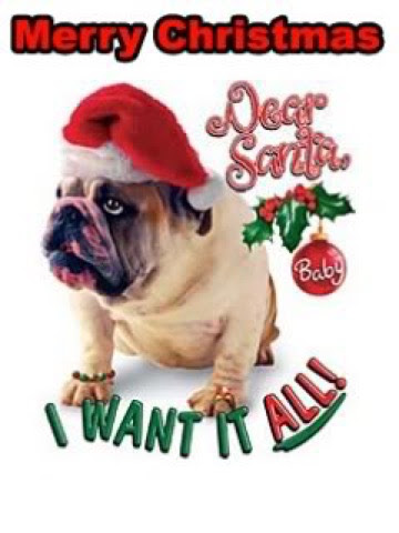 Christmas-dog-want-it-all