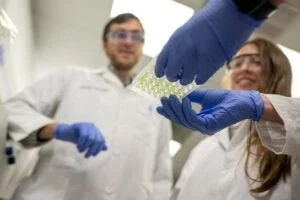 Postdoctoral research associate Samuel Eastman (left), 2024 Princeton graduate Kaeli Ficco (right), and their colleagues uncovered a mechanism by which soil bacteria can modulate plant immunity.