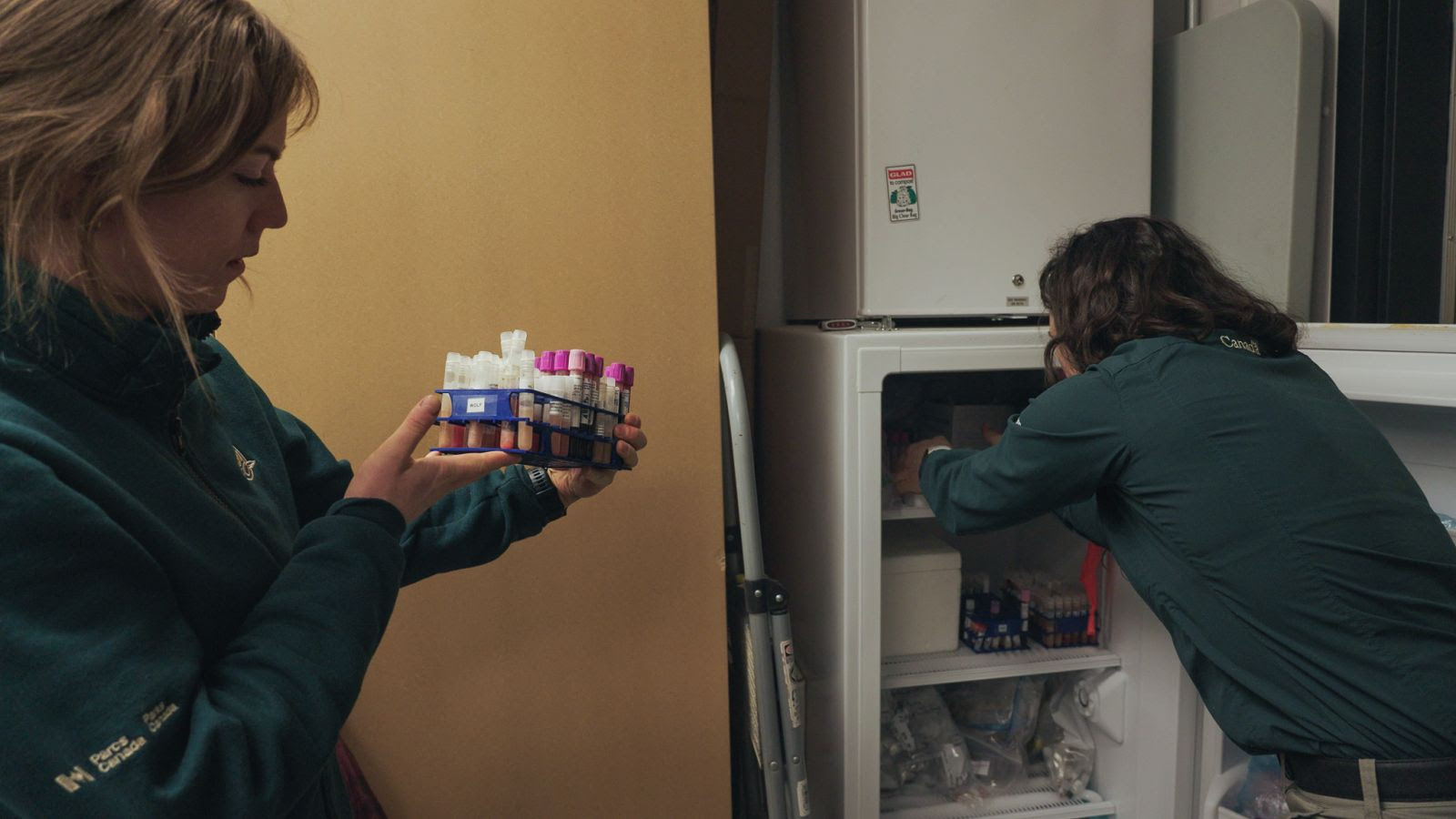 Two Parks Canada biologists are shown in a laboratory, taking blood samples out of a refrigerator. 