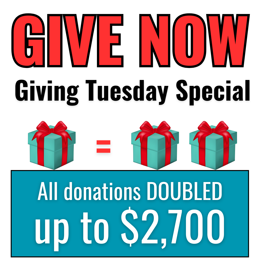 Giving Tuesday special