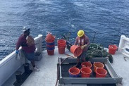 Fall groundfish survey boat