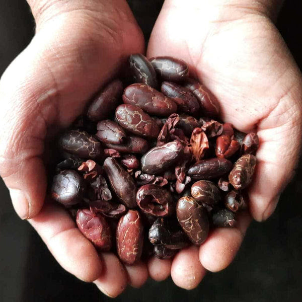 The Mystical Connection: Cacao and the Spiritual Hear