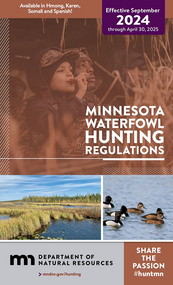 Minnesota waterfowl regulations cover 2024, Minnesota DNR, youth and adult hunter, ducks on the water