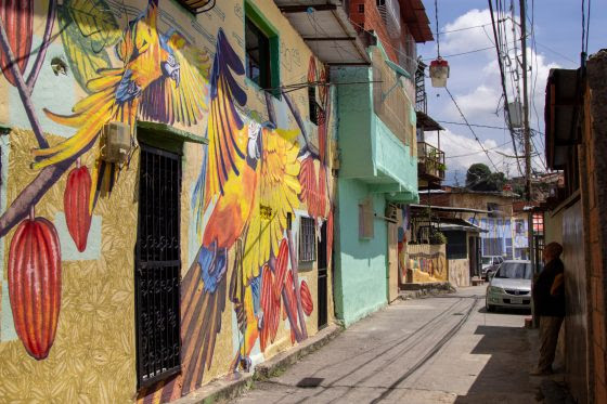 El Guaguancó de Colores llena de arte y ritmo las fachadas de los hogares de San Agustín del Sur