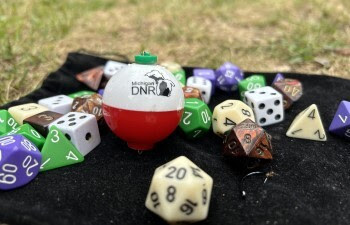 A collection of dice and a DNR-branded fishing bobber.