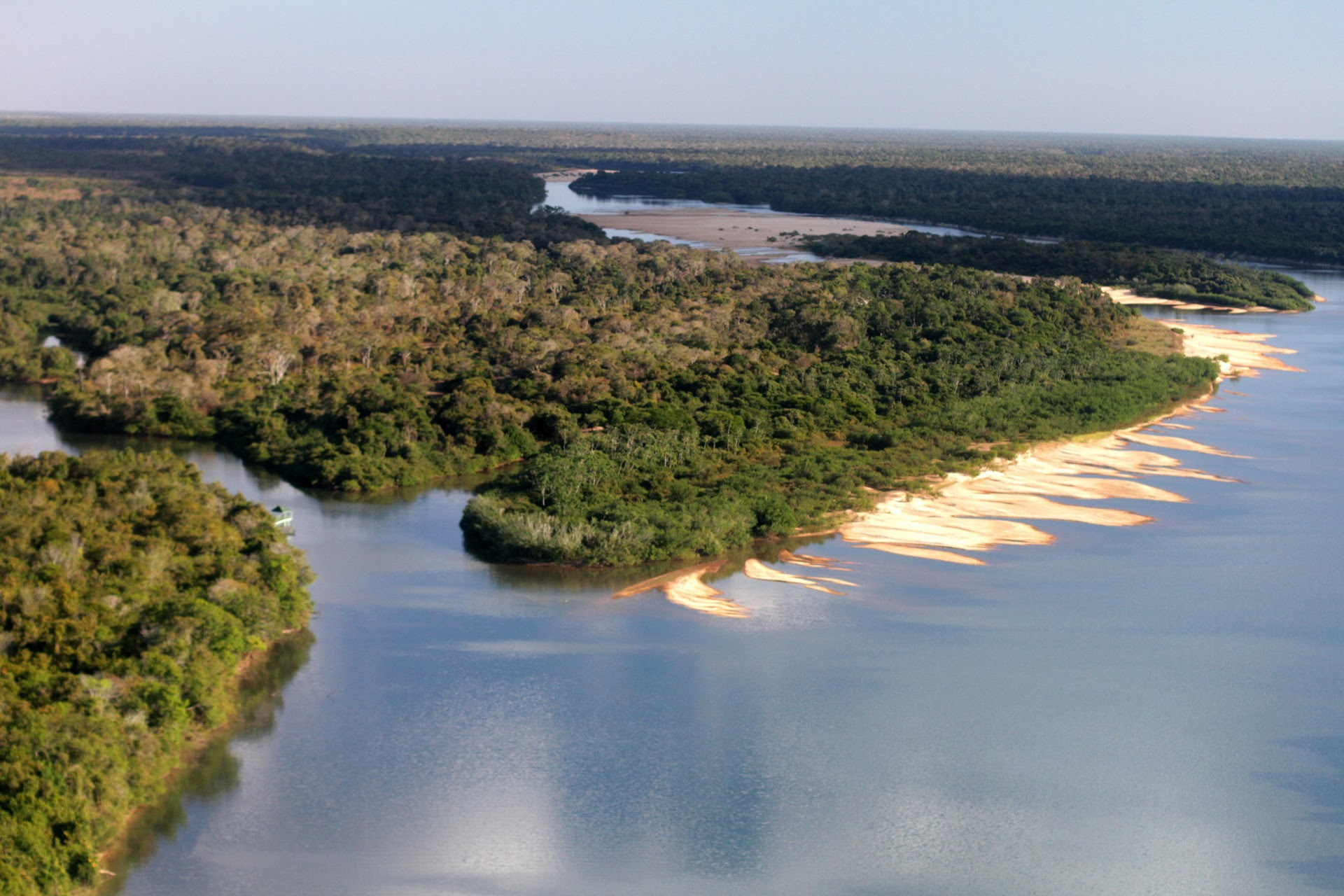 A região da APA Cantão/Ilha do Bananal é considerada a maior Unidade de Conservação do do Tocantins