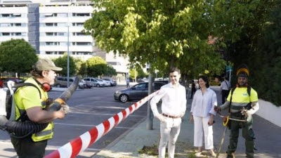 Torrejón.- El Ayuntamiento trabaja en el desbroce en alcorques de los barrios de la ciudad