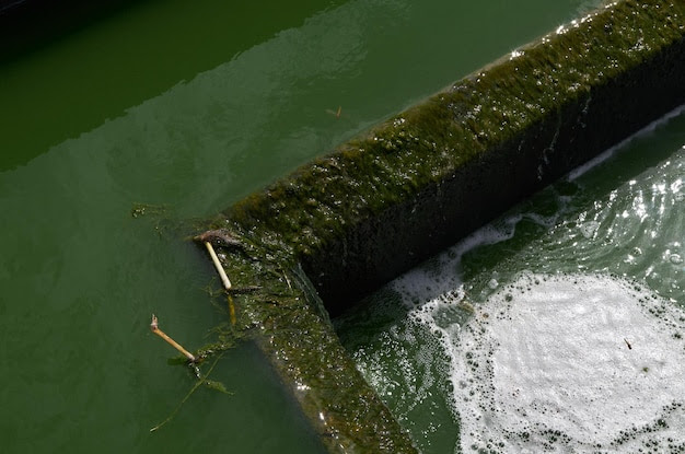 A green water pipe in a river with foamy water.