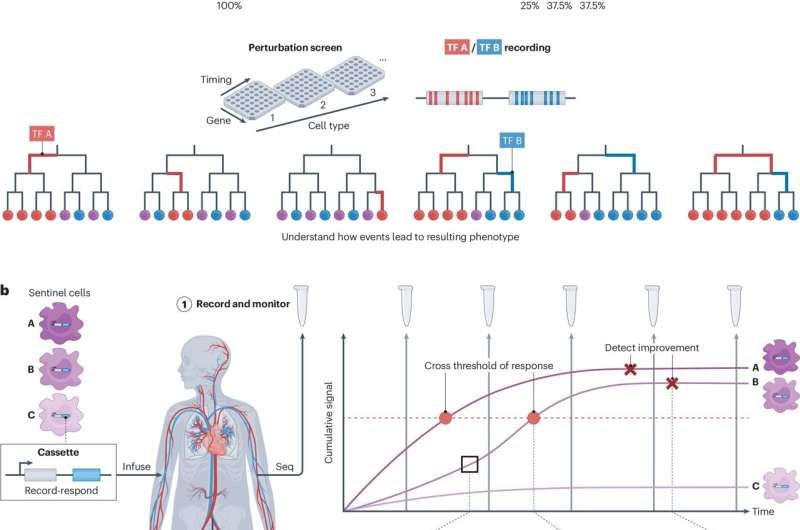 Better health diagnostics through genetically engineered embedded sentinel cells