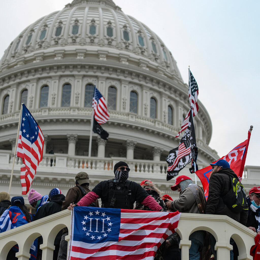 Protesters with various flags on the steps outside the Capitol.