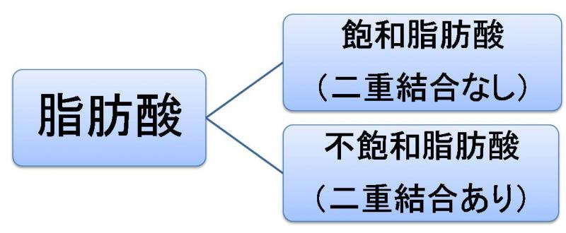 飽和脂肪酸と不飽和脂肪酸