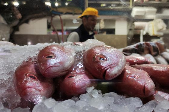 Altos precios alejan a los guaireños de comer pescado en Cuaresma y Semana Santa