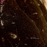 KEPLARREV 020LP